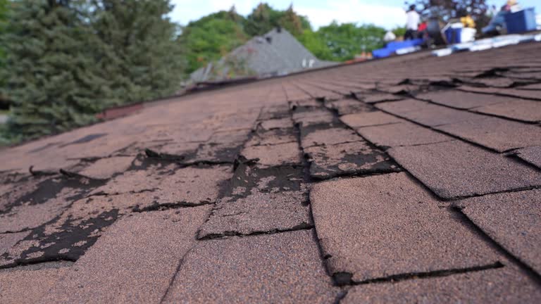 Best Flat Roofing  in South Paris, ME