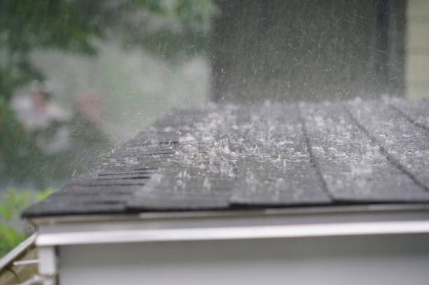 Best Green or Eco-Friendly Roofing Solutions  in South Paris, ME