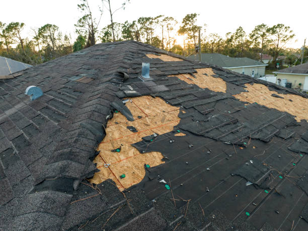 Best Rubber Roofing (EPDM, TPO)  in South Paris, ME